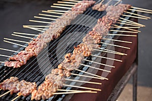 Grilled barbecue pork