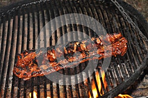 Grilled barbecue ribs