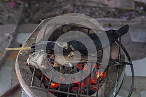 Grilled Batrachian walking catfish or Airbreathing catfish on iron grate charcoal stove.