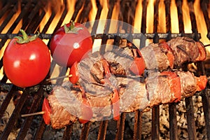 Grilled Beef Kababs On The Hot BBQ Grill Close-up