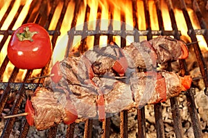 Grilled Beef Kababs On The Hot BBQ Grill Close-up