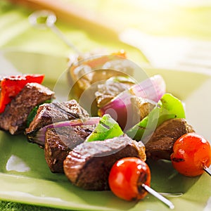 Grilled beef shishkabobs on green plate