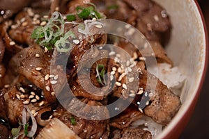 Grilled beef white sesame topping on rice. Japan food style