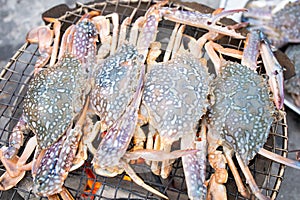 Grilled blue crabs