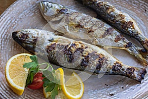 Grilled fishes in Sozopol, Bulgaria photo