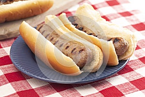 Grilled Bratwurst in a Bun on a Red and White Table photo