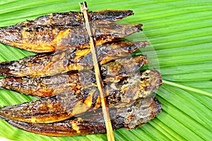 Grilled catfish