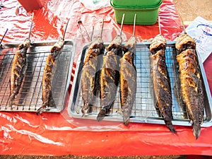 Grilled catfish is a popular Thai dish both locally and internationally. photo