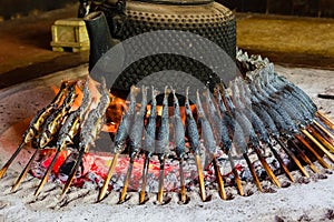 Grilled Char (Iwana) cooking on a traditional Japanese fireplace photo