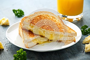 Grilled Cheese cheddar Sandwich on white plate