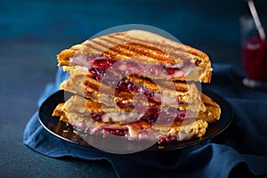 Grilled Cheese and Cranberry Sandwiches