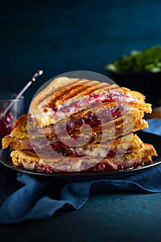 Grilled Cheese and Cranberry Sandwiches