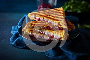Grilled Cheese and Cranberry Sandwiches