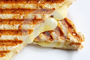 Grilled Cheese Sandwich photo