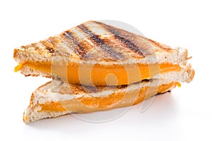 Grilled cheese sandwich isolated