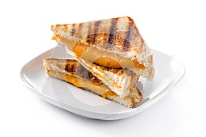 Grilled cheese sandwich isolated