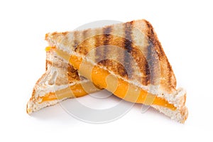 Grilled cheese sandwich isolated