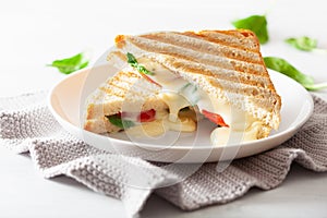 Grilled cheese and tomato sandwich on white background