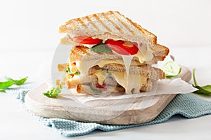 Grilled cheese and tomato sandwich on white background photo