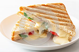 Grilled cheese and tomato sandwich on white background photo