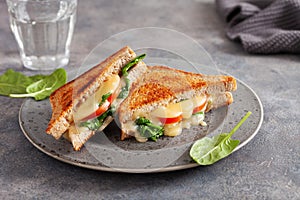 grilled cheese and tomato sandwich on white background photo