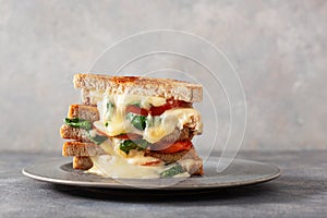 grilled cheese and tomato sandwich on white background photo
