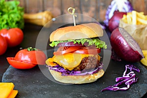 Grilled Cheeseburgers with French Fries - a delicious weekend barbecue idea