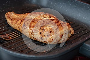 Grilled chicken breast