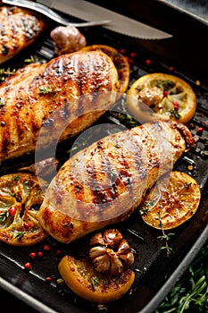 Grilled chicken breasts with thyme, garlic and lemon slices on a grill pan