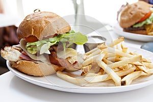 Grilled Chicken Burger with Ham and Cheese and French Fries