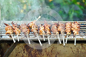 Grilled chicken innards marinated with spices skewer on the iron grill