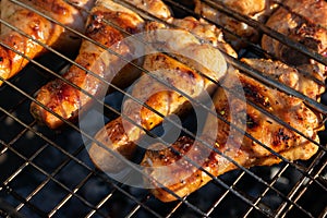 Grilled chicken meat, chicken legs on grill grid. Picnic time with barbecue