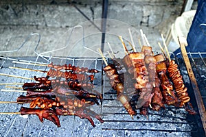 Grilled chicken and pork innards sold at a street food cart along a sidewalk