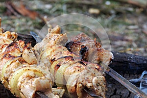 Grilled Chicken Thigh On The Flaming Grill