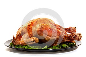 Grilled chicken on white background