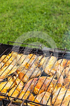 Grilled chicken wings are cooked in a clearing.