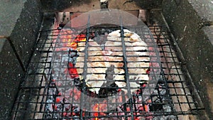 Grilled chicken wings on open fire charcoal. BBQ in the garden. Chicken's meat. Grilled meat. Chicken pieces are