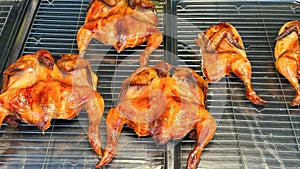 Grilled chickens are displayed on grill rack at street food market