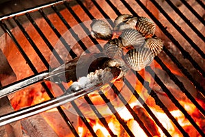 The Grilled cockle on charcoal oven