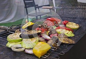 Grilled colorful vegetable