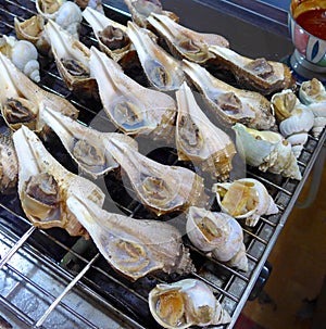 Grilled conch closeup at market