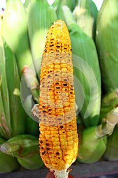 Grilled corn