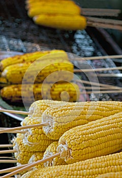 Grilled corn on the cob  charcoal