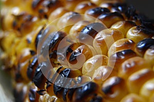 fresh grilled corn on the cob close up image