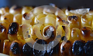 fresh grilled corn on the cob close up image