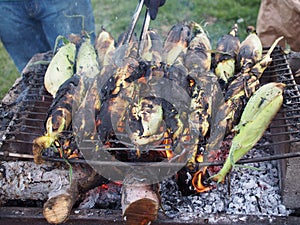 Grilled Corn on the Cob