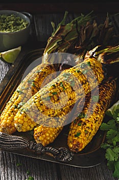 Grilled Corn On Cob with Herb Butter.