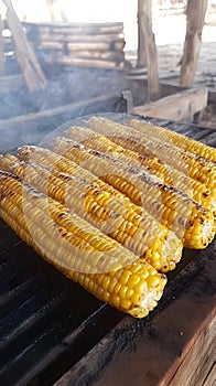 Grilled Corn on the Cob Roasting Over Charcoal