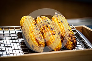 Grilled corn on the grill