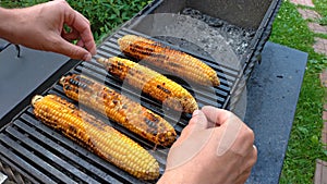 Grilled corn grilled on fire. On a dark iron table. Grilled corn. Delicious street food. Summer party and grill. Hands take or